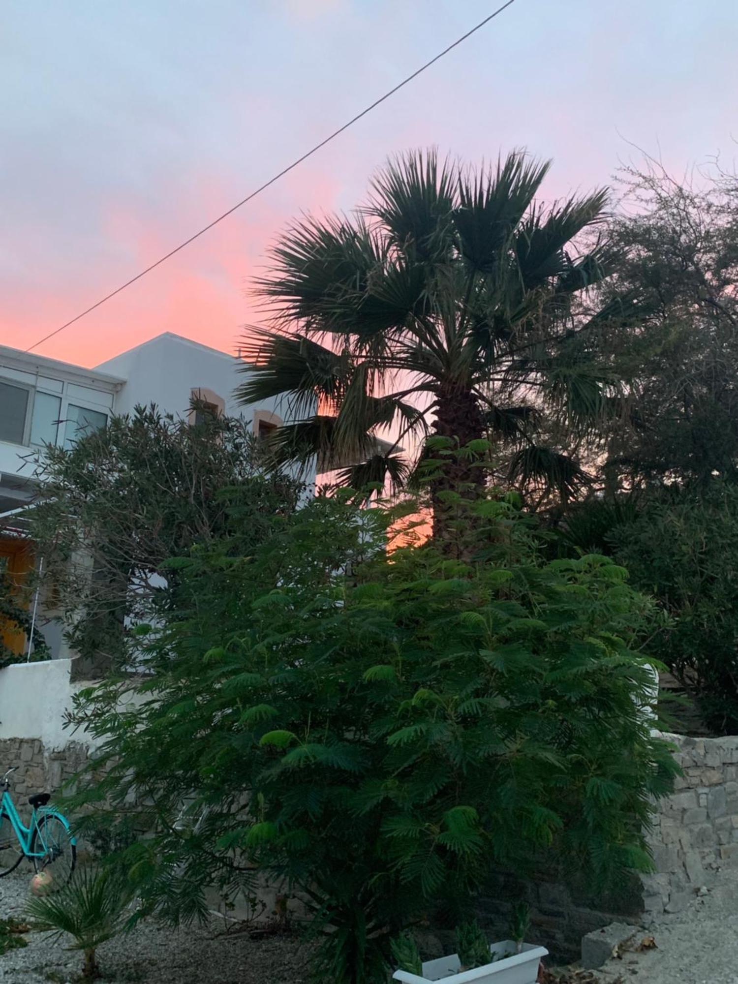 Apartment Aegean Overlook